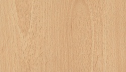 Бук Экспорт